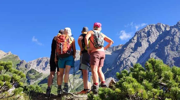 Frauenklettergruppe auf der Muttekopfhütte Bild 7 | © DAV-FN /  B. Knecht 4 Wanderinnen stehen zwischen Latschkiefern und genießen gewaltiges Berpanorama | © DAV-FN /  B. Knecht