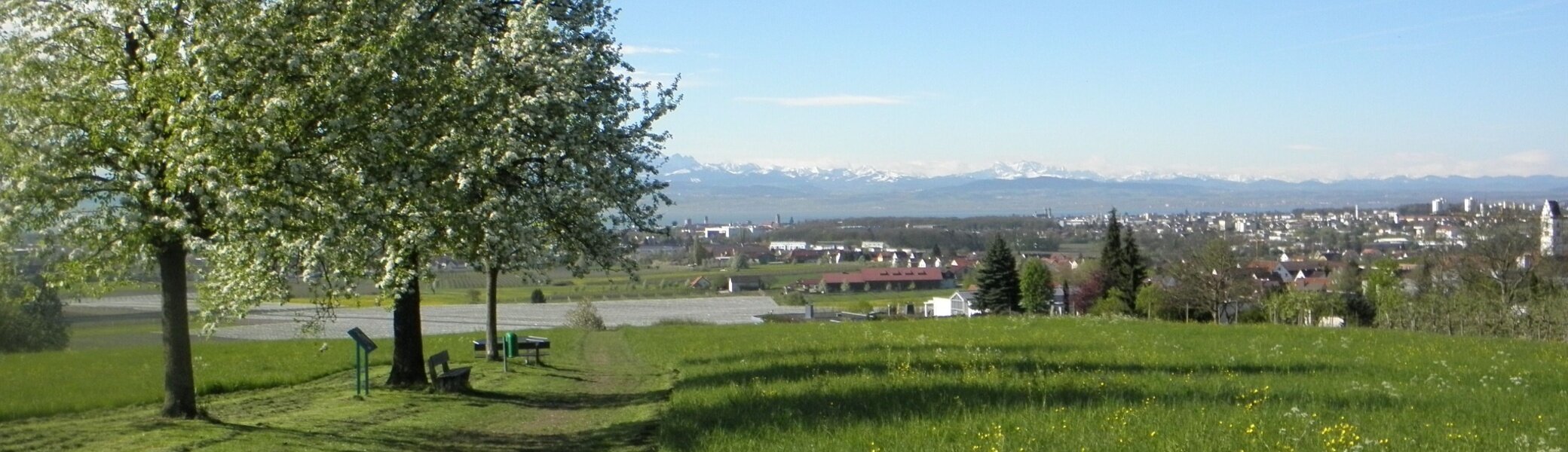  Blick vom Haldenberg  | © Foto: Tourist-Information Ailingen, Tourist-Information Friedrichshafen 