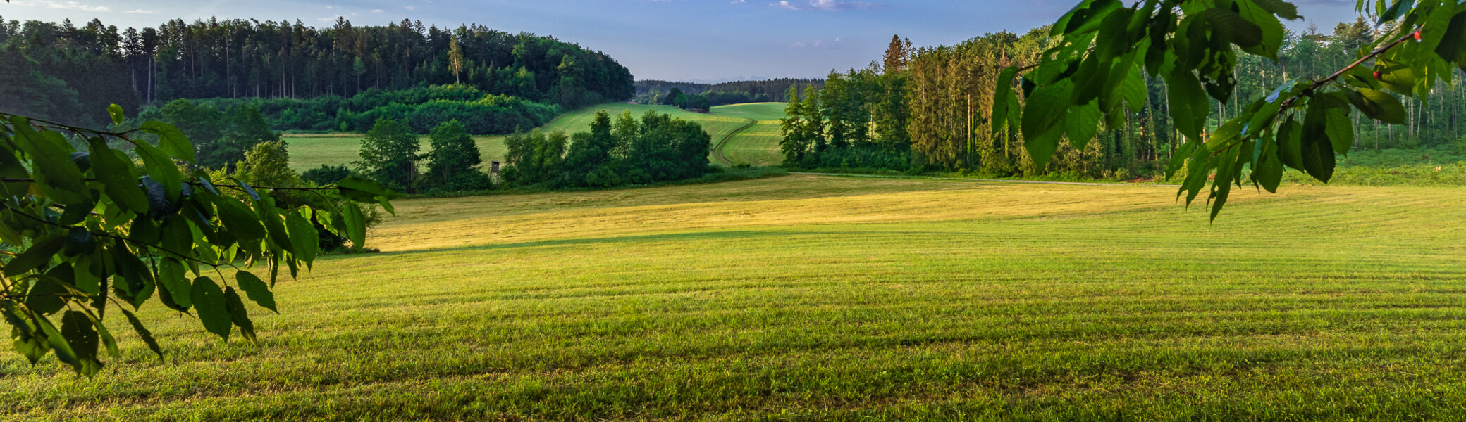 Bermatinger Waldwiesen -58-HDR.jpg© Florian fahlenbock | © www.gehrenberg-bodensee.de © Florian fahlenbock