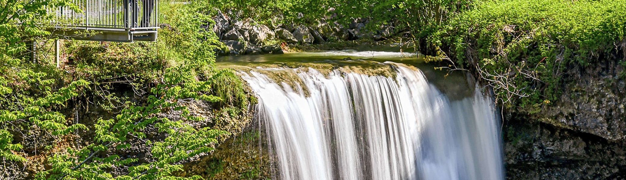 Scheidegger Wasserfälle | © Foto Scheidegg-Tourismus David Knipping Landkreis Lindau (Bodensee)