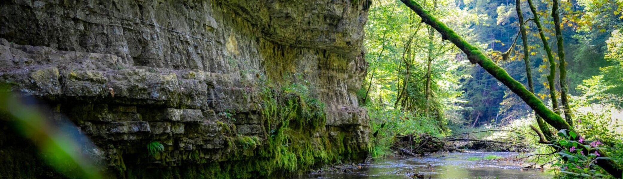 Felsengalerie in der Wutachschlucht | © © Ferienregion Wutachschlucht  -  www.wutachschlucht.de