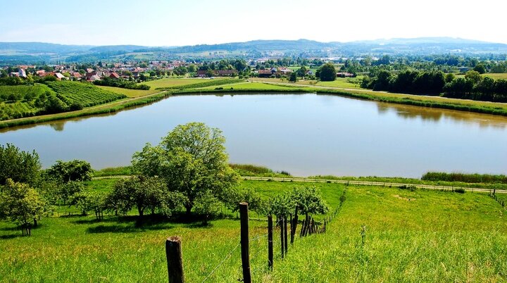 Bifangweiher | © Foto: Tourist-Information Uhldingen-Mühlhofen, CC BY-SA