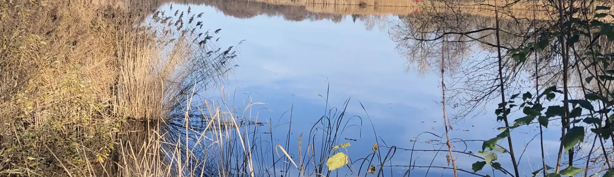 Stockenweiler Weiher, Leiblachtal und Degermoos (Westallgäu) | © Komoot / DirkR.