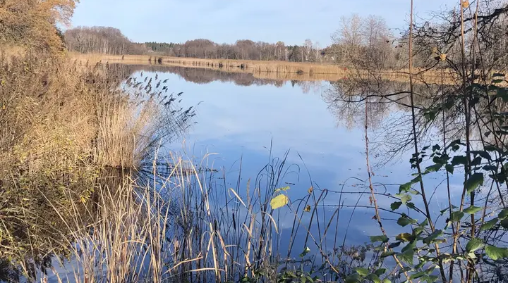 Stockenweiler Weiher, Leiblachtal und Degermoos (Westallgäu) | © Komoot / DirkR.