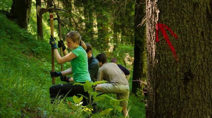 Im Einsatz für den alpinen Schutzwald.  | © Foto DAV_Arvid Uhlig.jpg